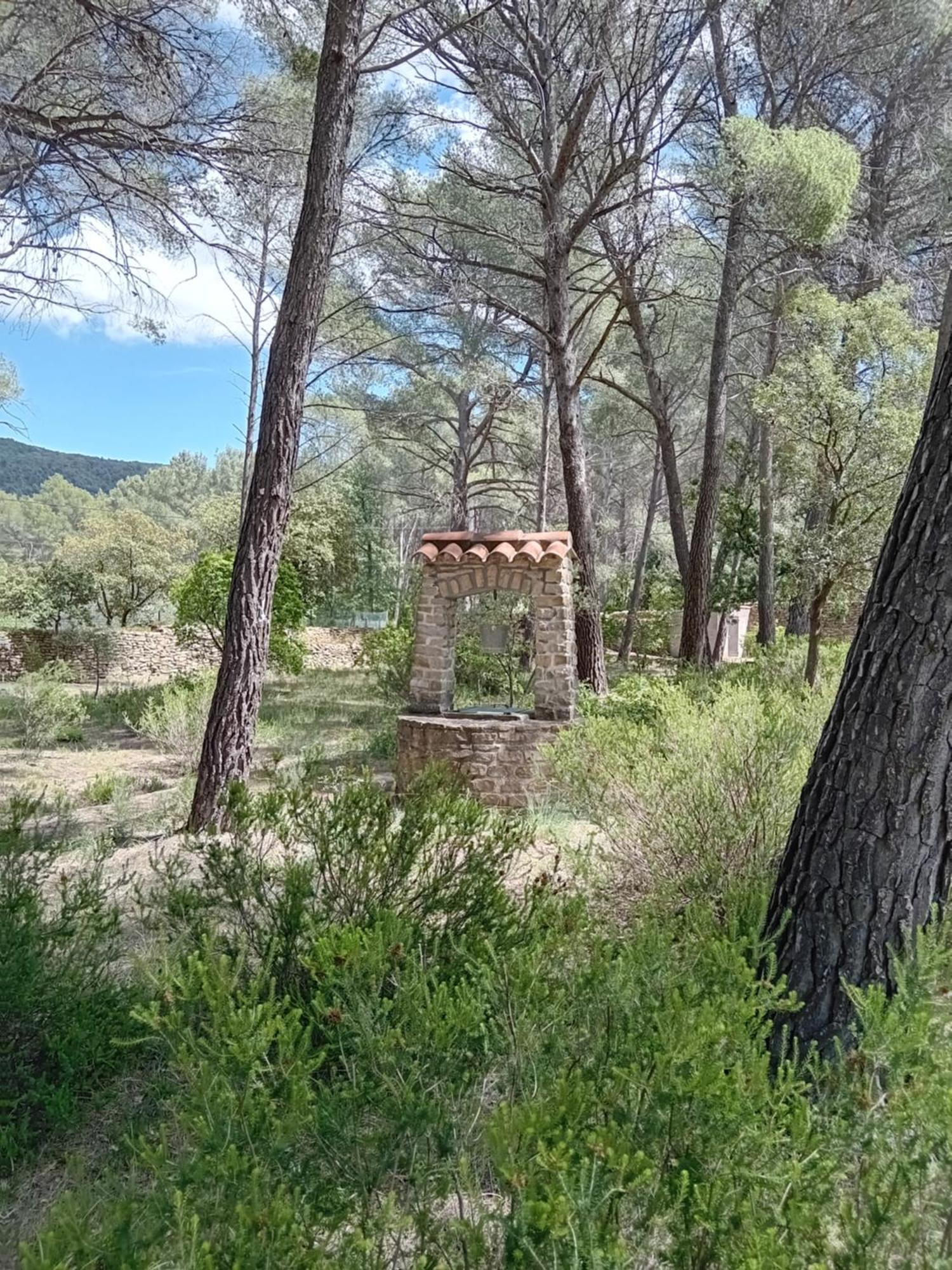 La Maison Du Rouquet Льо Бусе Екстериор снимка